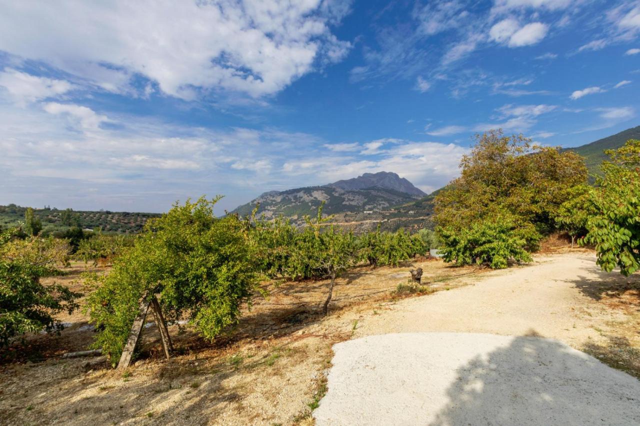 Casa Jurinea Alzar Villa Torres  ภายนอก รูปภาพ