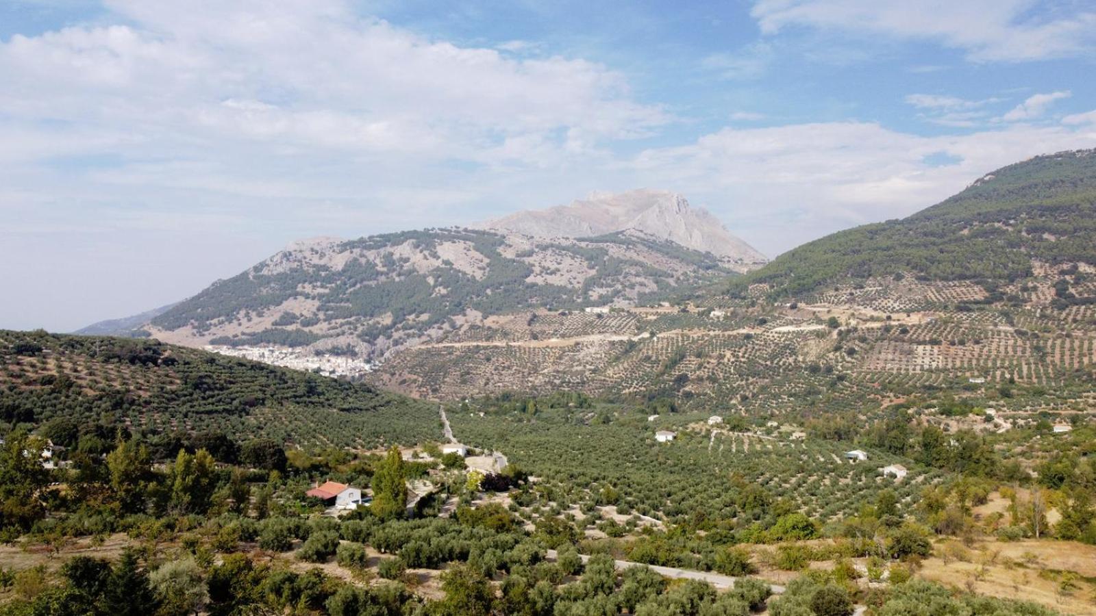 Casa Jurinea Alzar Villa Torres  ภายนอก รูปภาพ
